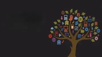 消费金融行业2024上半年业绩整体放缓，提质增效成为主趋势